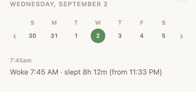 The week strip above the feed, the days of the week with today circled and arrows either side to step a day.